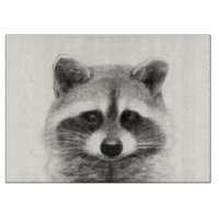 Raccoon Pencil Drawing