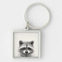 Raccoon Pencil Drawing