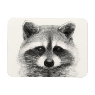 Raccoon Pencil Drawing Magnet