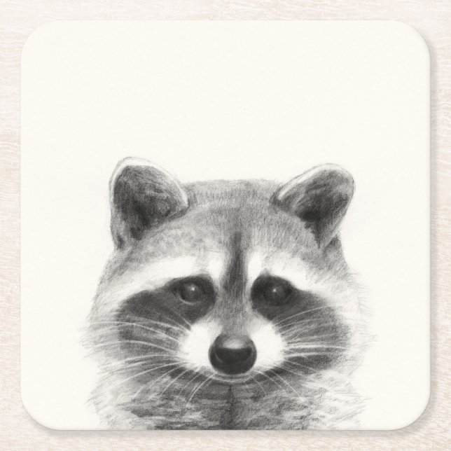 Raccoon Pencil Drawing Square Paper Coaster (Front)