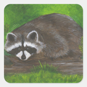 Raccoon Square Sticker