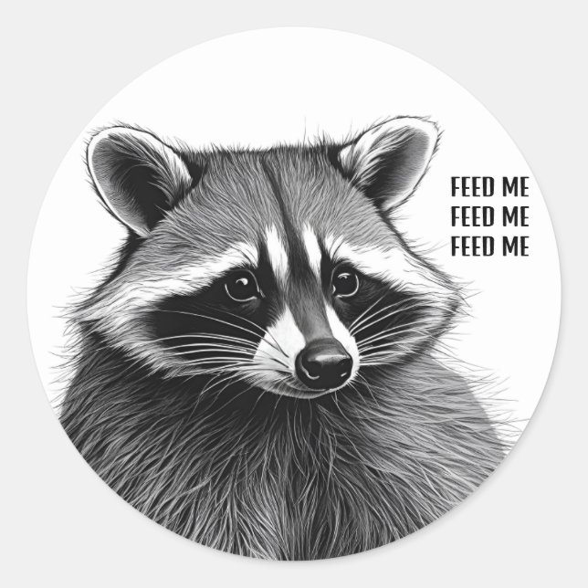 Raccoon Sticker (Front)