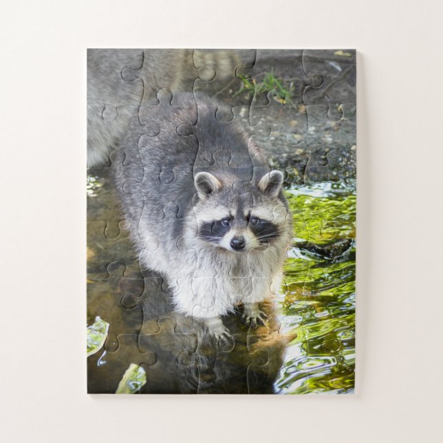 Raccoon Swimming in River Water Jigsaw Puzzle (Vertical)