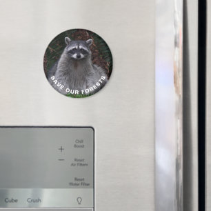 Raccoon Wildlife Photo Forest Conservation Magnet