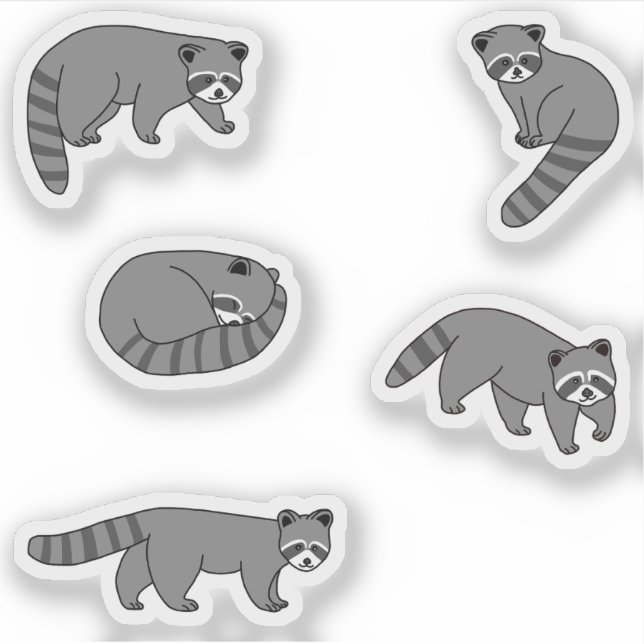 Raccoons (Front)