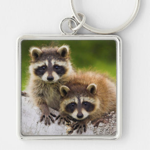 Raccoons Key Ring