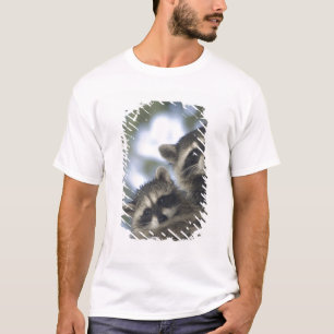 Raccoons Procyon Lotor) of Fish Lake, Central T-Shirt