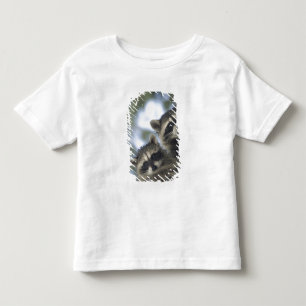 Raccoons Procyon Lotor) of Fish Lake, Central Toddler T-Shirt