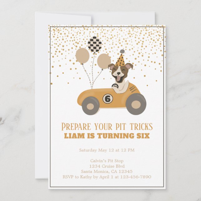 Race Car Pit Dog Boys Sixth Birthday Party Invitation (Front)