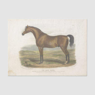Race Horse Ephemera Decoupage Vintage  Tissue Paper
