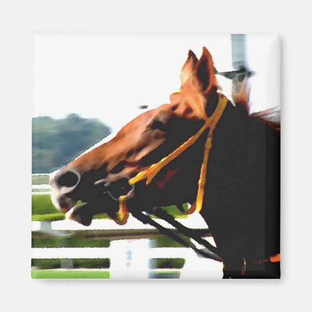 Race Horse magnet (Front)