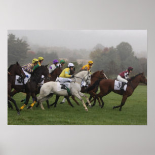 Race Horse Poster Print