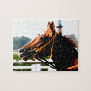 Race Horse puzzle