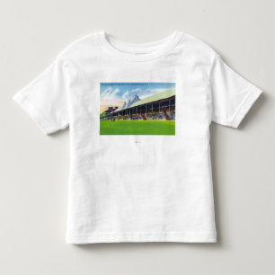 Racegrounds View of the Grand Stand at Track Toddler T-Shirt