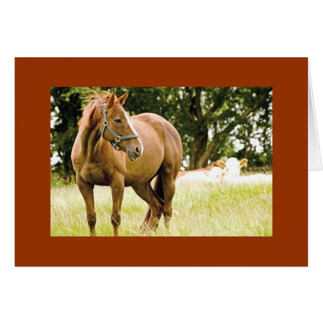 Racehorse in Field Card (Front Horizontal)