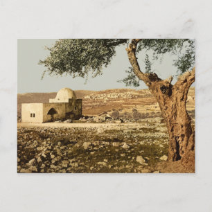 Rachel's Tomb Postcard