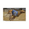 Racing Greyhound Dog Business Card