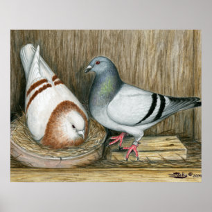 Racing Homers Home Life Poster