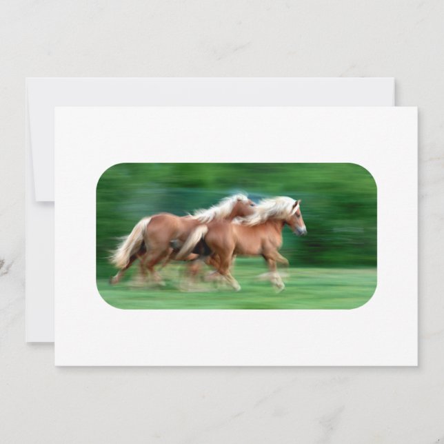 Racing Palomino Invitations (Front)