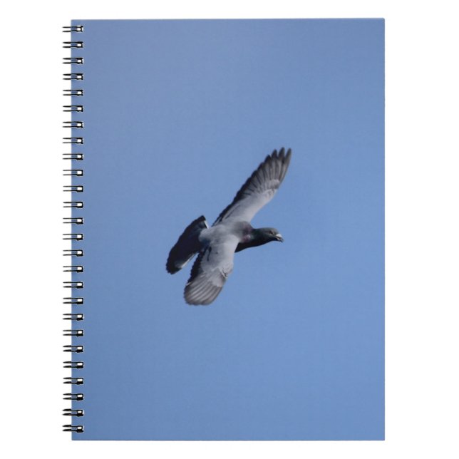 Racing Pigeon in Flight Notebook (Front)