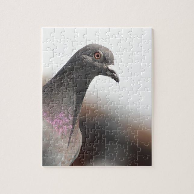 Racing pigeon jigsaw puzzle (Vertical)