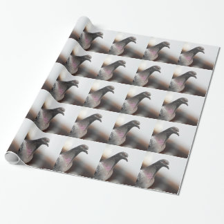 Racing pigeon wrapping paper