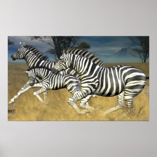 Racing Stripes - Running Zebra Print