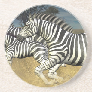 Racing Stripes - Zebra Coaster