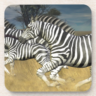 Racing Stripes - Zebra Coaster