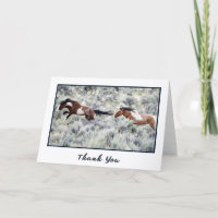 Racing Wild Stallions Photo Thank You Card