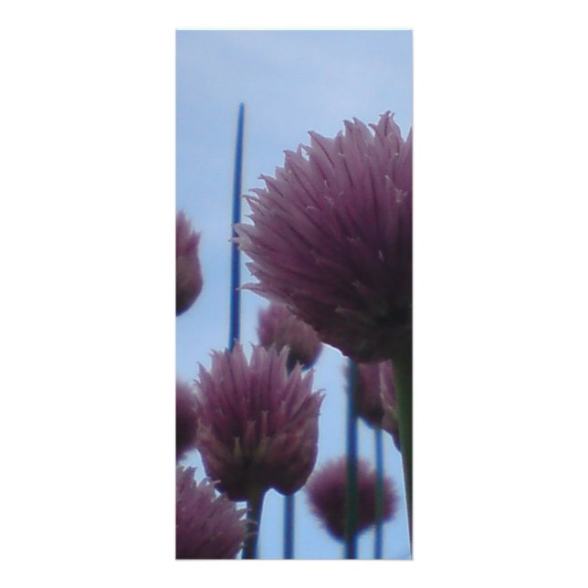 Rack Card - Chives    Image 1 (Front)