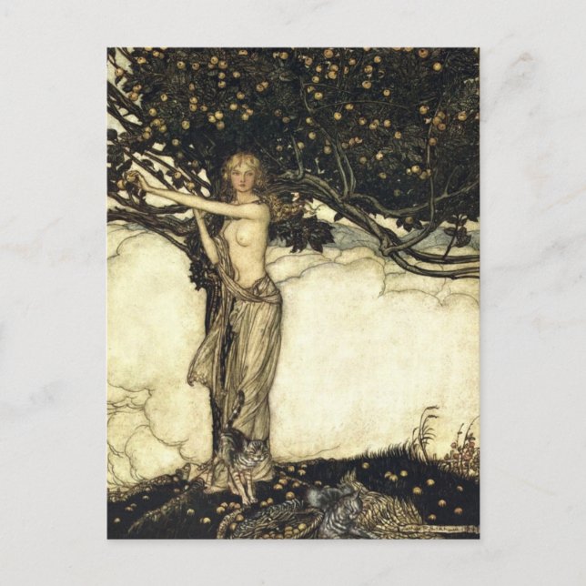 Rackham's Rhinegold Postcard (Front)