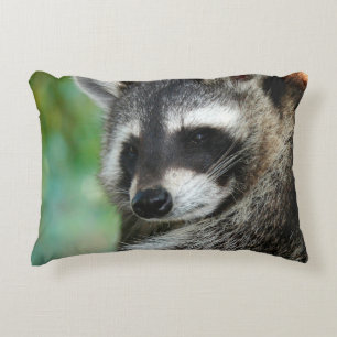 Racoon 001 decorative cushion