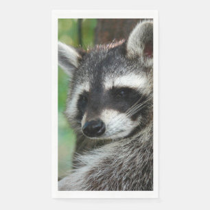 Racoon 001 napkin