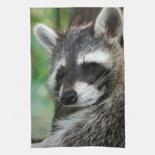 Racoon 001 tea towel