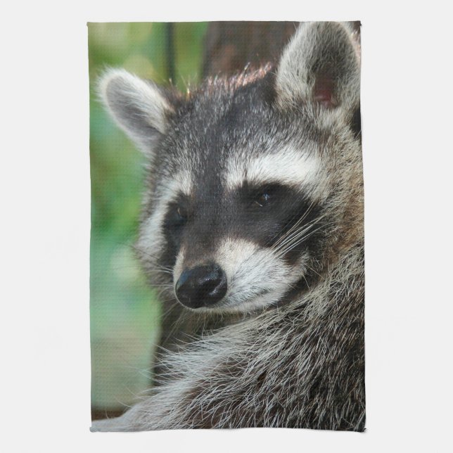 Racoon 001 tea towel (Vertical)
