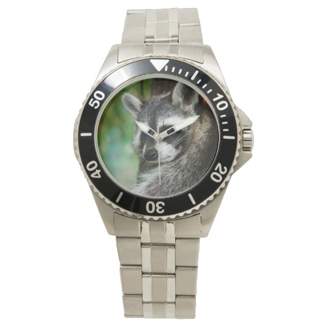 Racoon 001 watch (Front)