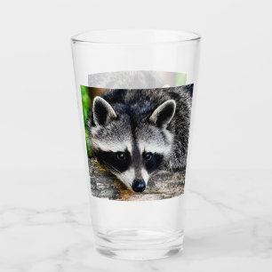 Racoon 003 glass
