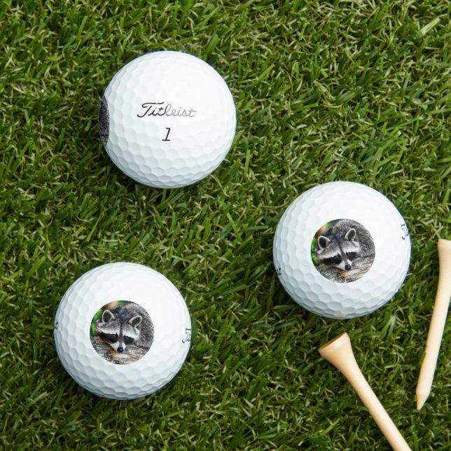 Racoon 003 golf balls (Insitu Grass)