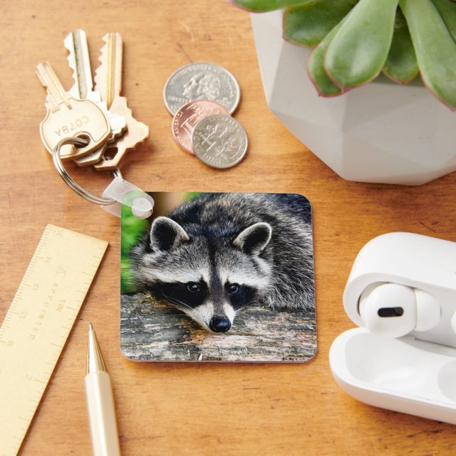 Racoon 003 key ring (Desk)