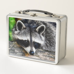 Racoon 003 metal lunch box