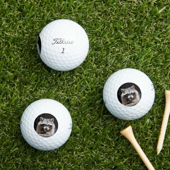 Racoon 004 golf balls (Insitu Grass)