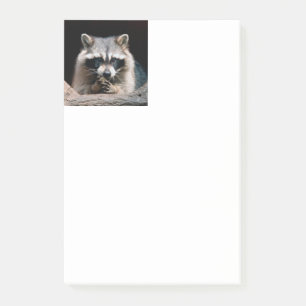 Racoon 004 post-it notes