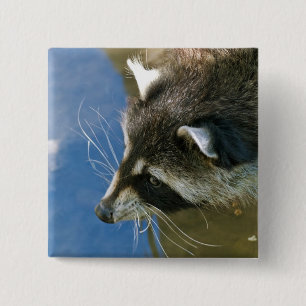 Racoon 15 Cm Square Badge