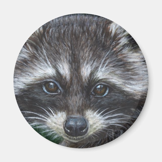 Racoon #3 magnet (Front)
