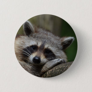 Racoon 6 Cm Round Badge