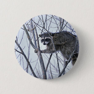 Racoon 6 Cm Round Badge