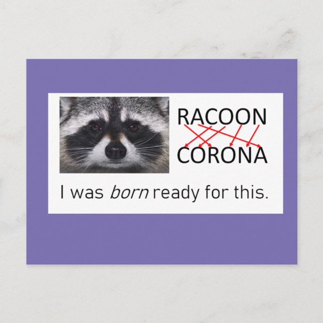 Racoon anagram Corona got it covid 19 do the mask Postcard (Front)