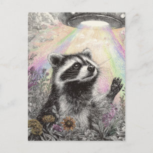 Racoon and a UFO Postcard