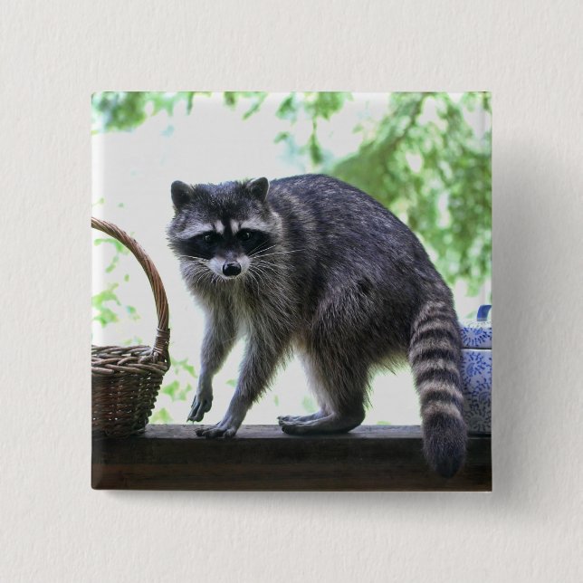 Racoon and Cookie Jar 15 Cm Square Badge (Front)